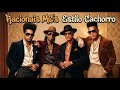 Estilo Cachorro - Racionais Mc's (1983)  MelodIA Musica