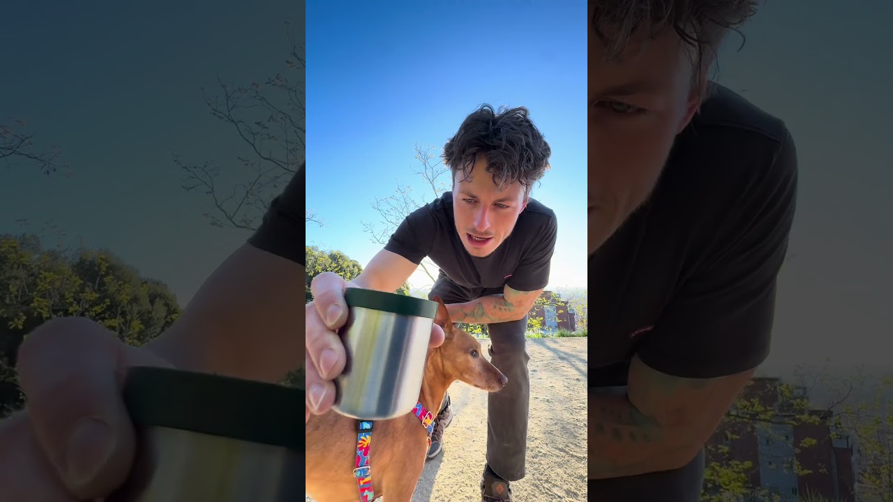 Monkey's latest trick