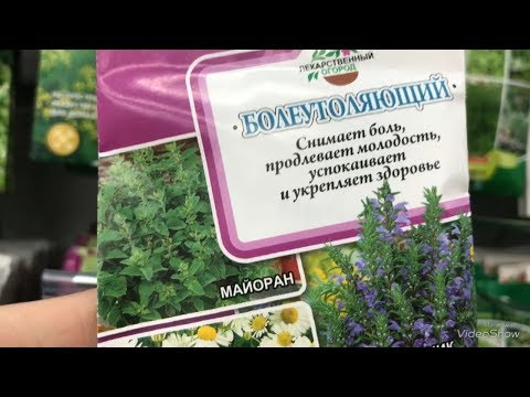 Семена.Наборы семян лекарственных и пряных трав в Бауцентре. Семена.Наборы семян лекарственных и пряных трав в Бауцентре.