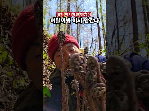 내가 이사가면 딴넘이 <strong>고비</strong> 꺽을까봐  ᆢ