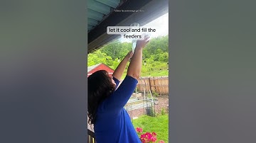 Tips on attracting hummingbirds! #Kingsyard #birdfeeder #birds