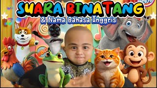 Suara Binatang & Bahasa Inggris