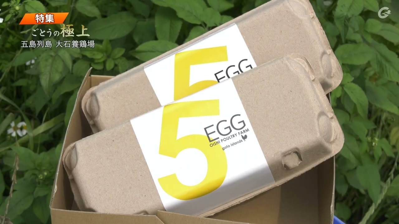 2024年8月14日放送 ごとうの極上 五島列島大石養鶏場 - YouTube