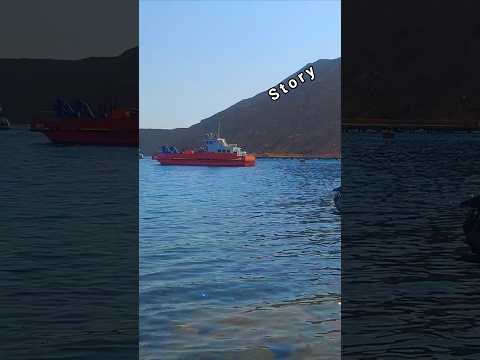 محمود العسيلي كده كده بايظه