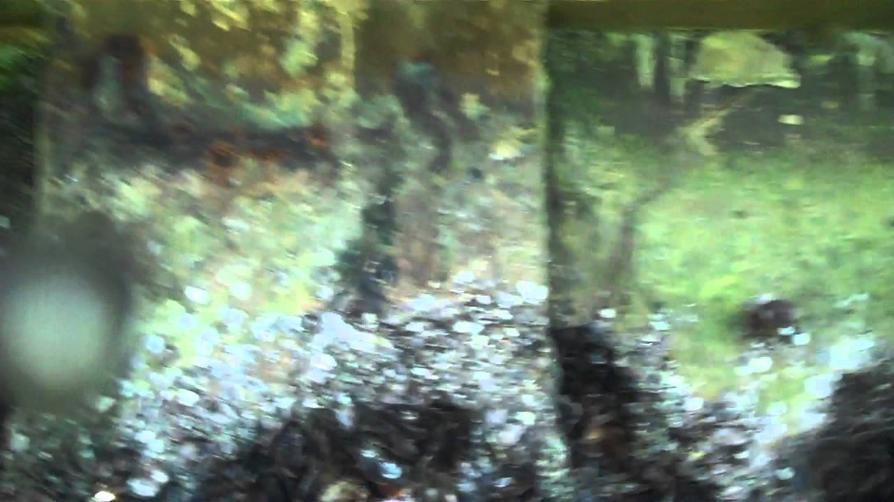 Sea wall inspection, N. Miami Beach