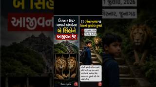 બે સિંહોને આજીવન કેદ// બે સિંહો ફરી ગિરનાર ઉપર દેખાયા #girnar #lion #junagadh