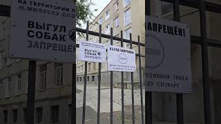 видео: Возле бывшей 45 школы на Рышкановке. картинка: Возле бывшей 45 школы на Рышкановке.