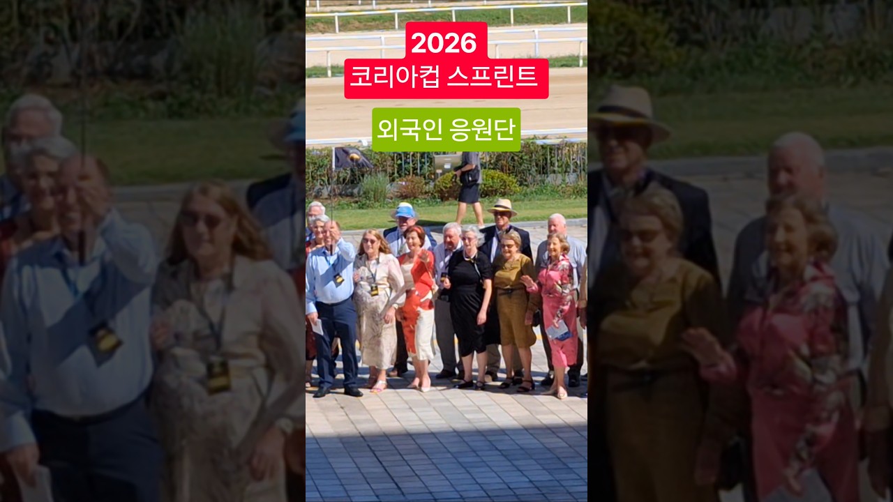 어서와! 한국경마장 처음이지? #경마 #말 #달려라말 #shorts