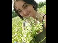 красива дівчина красива дівчина