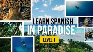Learn the Basics of Spanish — Full Audiobook