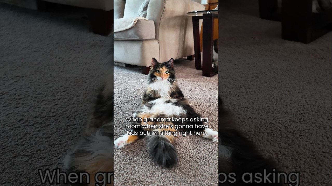 I am her baby 😸🩷 