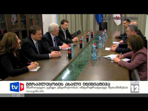 ახალი 12 | უმრავლესობის ინიციატივა | 11.02.13