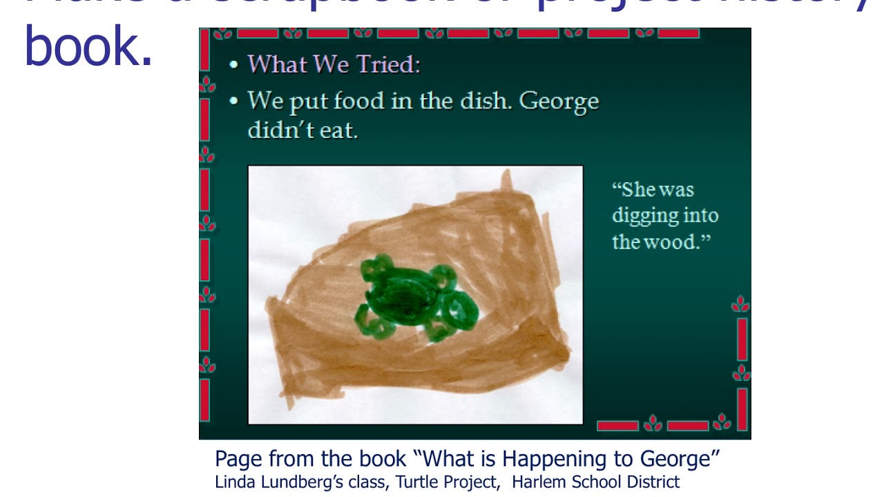 Culminating Projects - YouTube