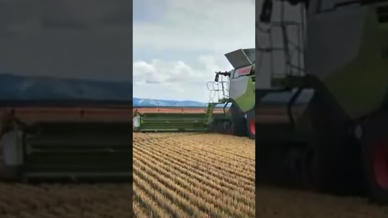 class lexion 780