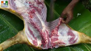 Cutting of Lamb all Parts | Pottelu Cutting | FOOD &amp; TRAVEL TV