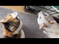 ふたりで何見てるの⁉️目線の先は…