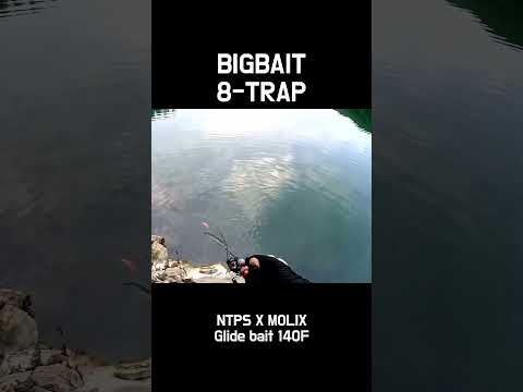 배스 낚시! 빅베이트 에잇트랩!!!!