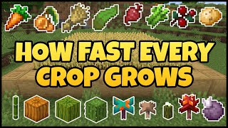 How Fast Every Crop Grows In MINECRAFT