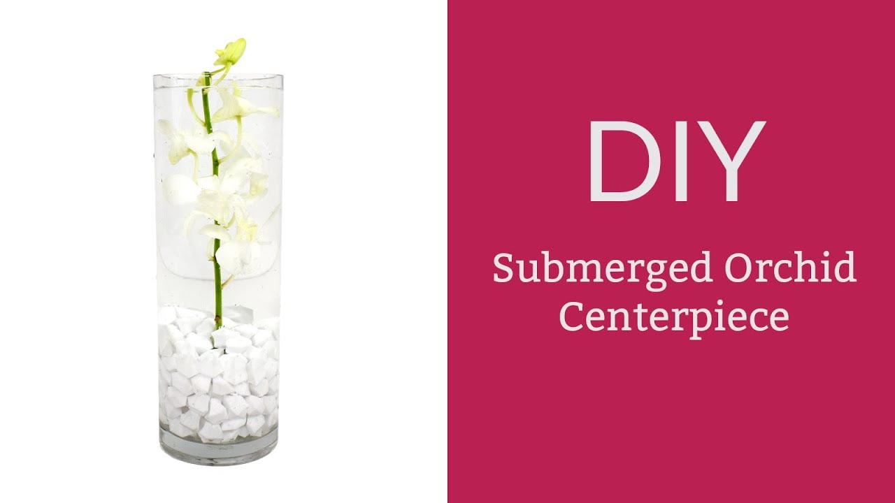 How To Make A Submerged Orchid Centerpiece