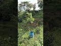 Вид на южную часть нашего сада. Garden south part view. #gardening #mamaduriana #kebundurian