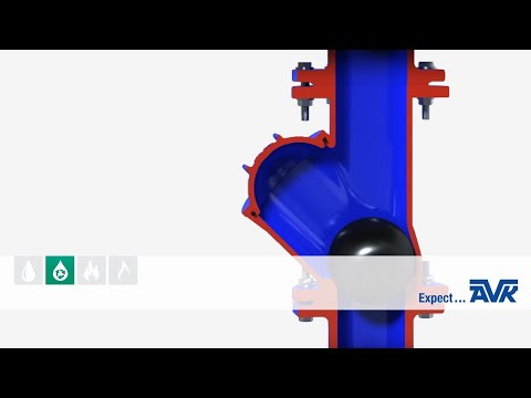 Video: Så en tomat: timing, fröberedning