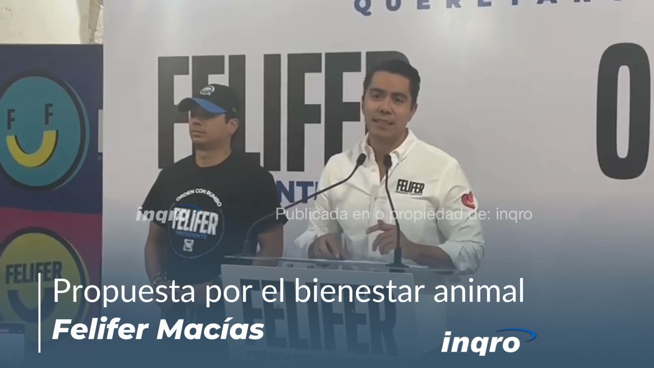 Presenta Felifer Macías propuesta para bienestar de mascotas