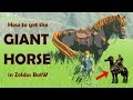 How to get the GIANT HORSE in Zelda: Breath of the Wild!