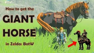 How to get the GIANT HORSE in Zelda: Breath of the Wild!