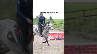 Training 5 year old horse VS 8 year old horse