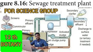 SEWAGE TREATMENT PLANT (STP) | TAMIL | ENVIRONMENTAL ISSUES | STD 12 | TRB |SRI PARAMAKALYANI SCHOOL