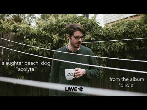 Slaughter Beach, Dog - Acolyte