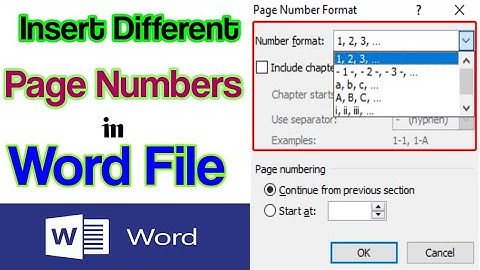 How to insert different page numbers in Word | Urdu/ Hindi