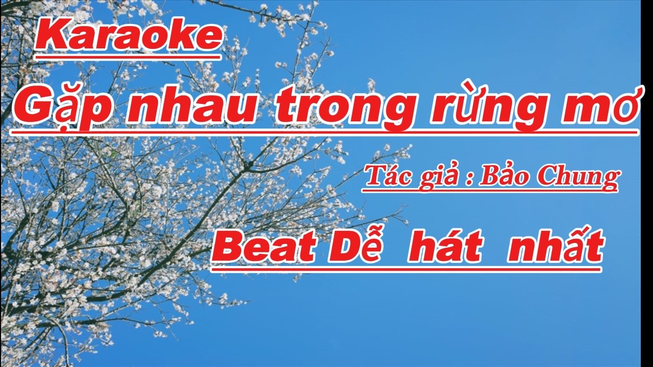 Karaoke song ca  Gặp nhau giữa rừng  mơ 🙋‍♂️ Beat nhạc rễ hát nhất