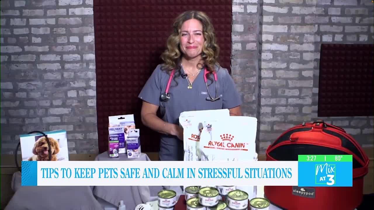Tips to Keep Pets Safe & Calm in Stressful Situations