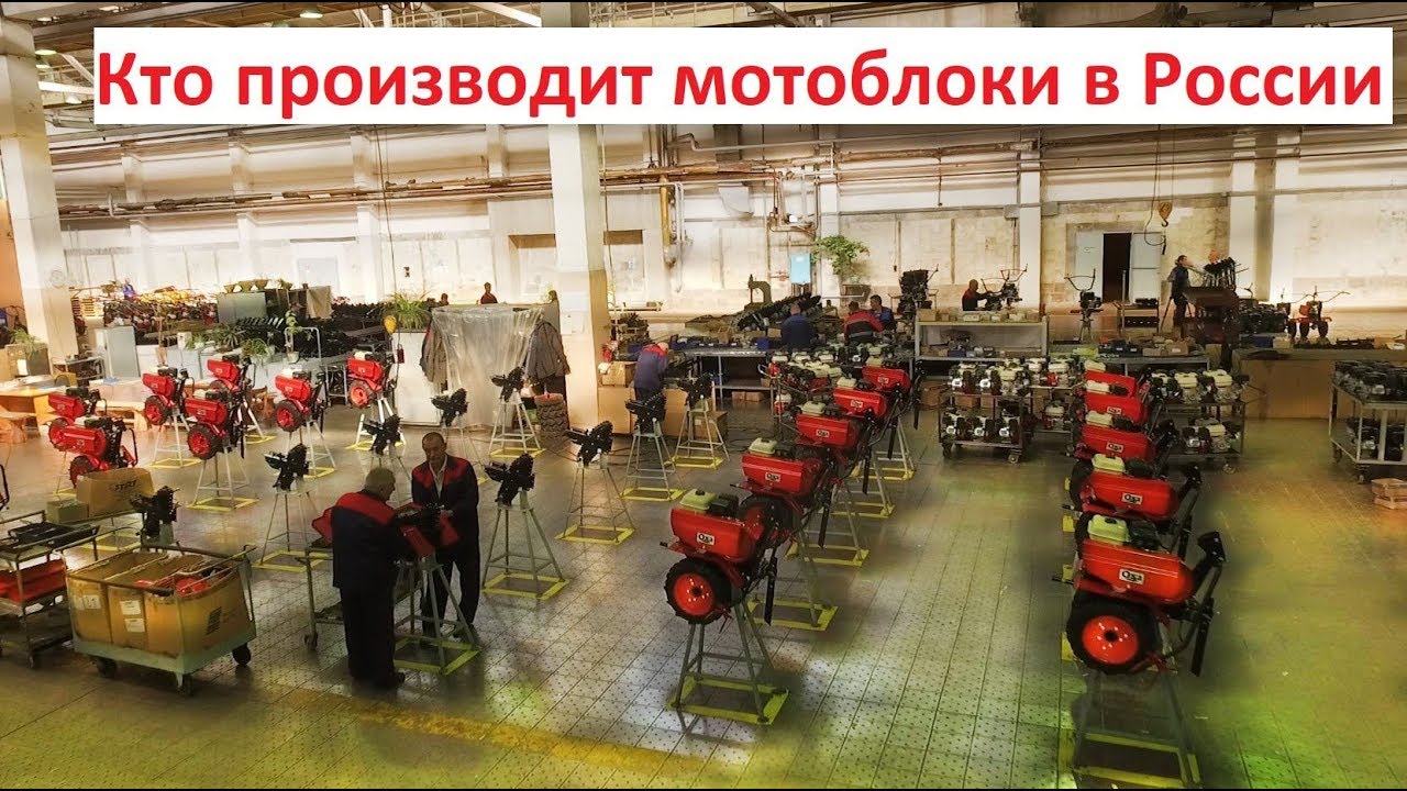 Ока или авангард