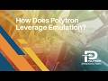 How Does Polytron Leverage Emulation?