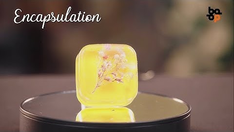 How To Encapsulate Decorative Objects In Resin