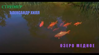 СТРИМ РР4. МЕДНОЕ ОЗЕРО - РУССКАЯ РЫБАЛКА 4. #shorts #russianfishing4 #русскаярыбалка4 #трофей #рр4