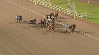 Vidéo de la course PMU STOLOPP