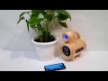 #kickstarter Portable bluetooth speaker made of wood (Option 2)