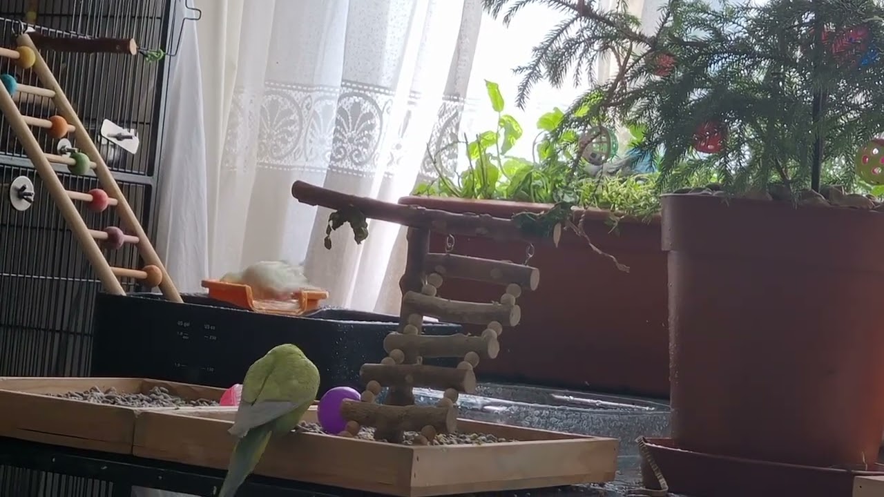 Linden Bath-time Pt 2