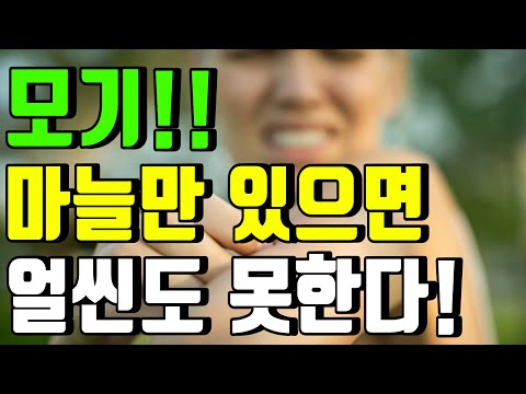 [모기 퇴치하는 확실한 방법] 모기! 마늘만 있으면 얼씬도 못한다! 이제 살충제가 필요 없습니다!