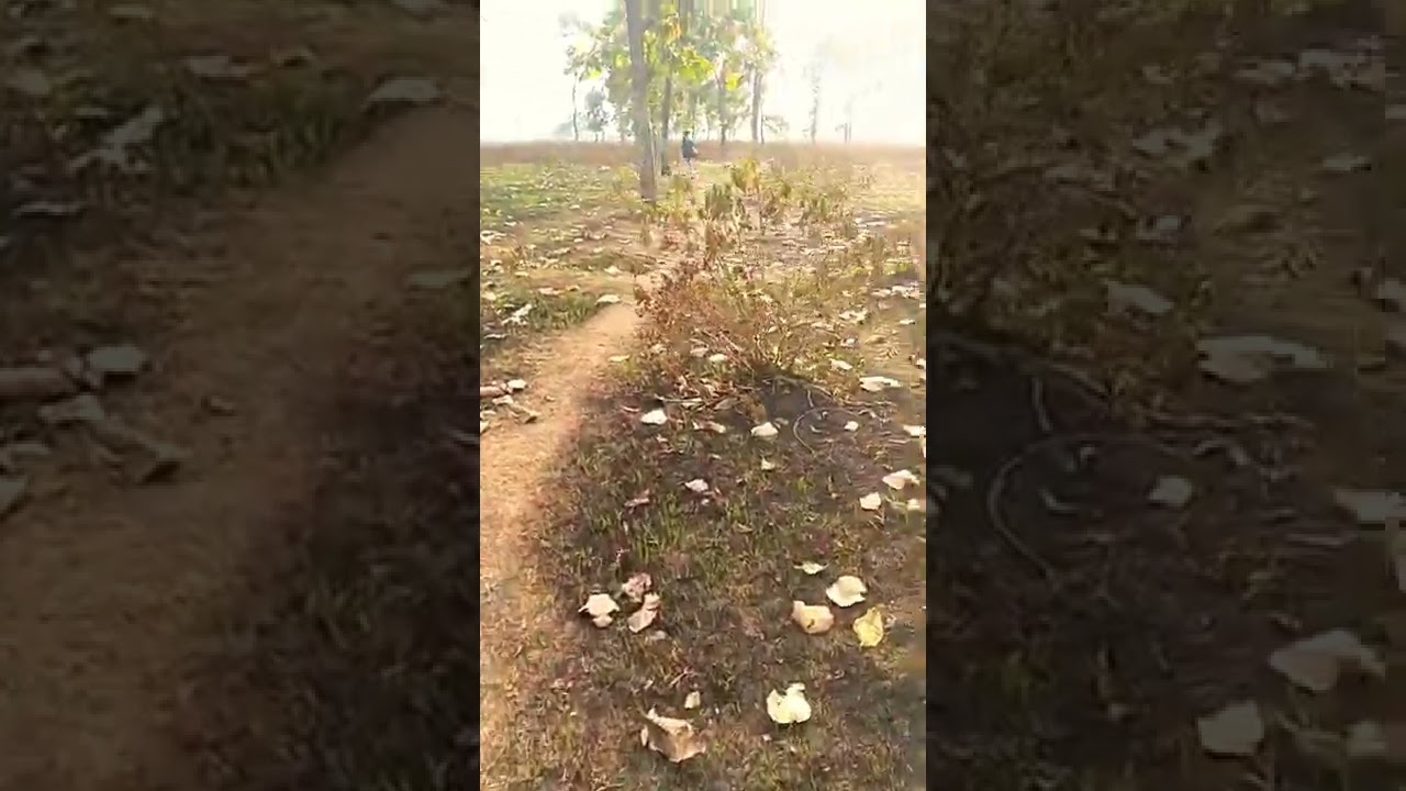 maps-26.718851,88.470500