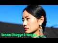 New tibetan song by sonam dhargye  yangkyi    