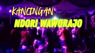 Download lagu LAGU PARTY ENDE LIO KANCINGAN || NDORI WAWORAJO NEW REMIX