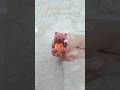 how to make a brown bear with clay #shots #clay art