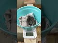 3/18ふ化🐣フンボルトペンギン生後4日目