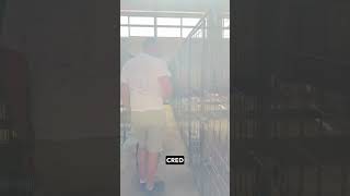 Am Venit Să Adopt Din Adăpostul 23