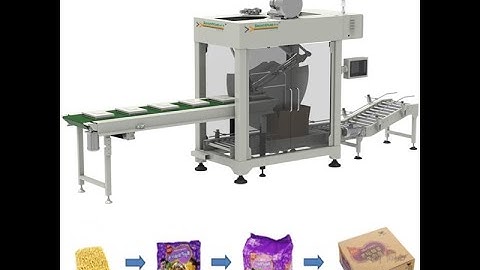 Side load case packer machine for instant noodles [Soontrue]