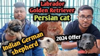 German Shepherd puppy| Labrador retriever puppy| Rottweiler puppy| Dog price in 2024| Dog farm in bd